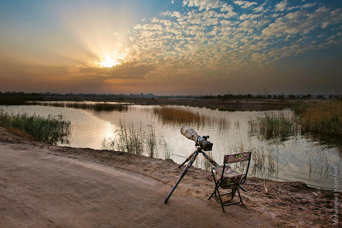 Photographing and observing birds up-close requires attention to timing, patience and determination. (photo by Mohammad Khorshed)