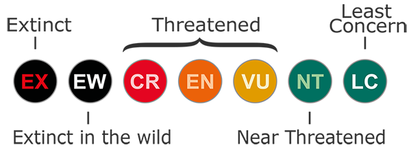 IUCN Conservation Status designations