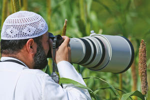 Photographing birds in Kuwait (photo by Mike Pope)