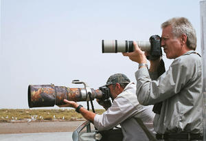 Photographing birds in Bubiyan (photo by Gillian Pope)