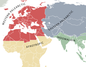 The Western Palearctic Realm The Western Palearctic Realm