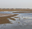 Jahra East Outfall (JEO)